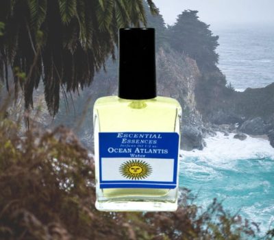 09c36fa991c448f28d695751bb08a061