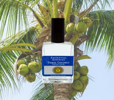 3cd2db85c9ad4b01ba8aca8238ffb7f2