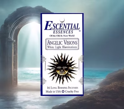 f16285_244a970c13c94bf7b5f235a948b11119~mv2