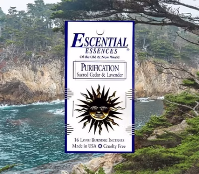 f16285_c71c528e771c40c18555d5ce8650e9b7~mv2