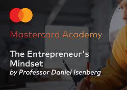 THE ENTREPRENEUR'S MINDSET